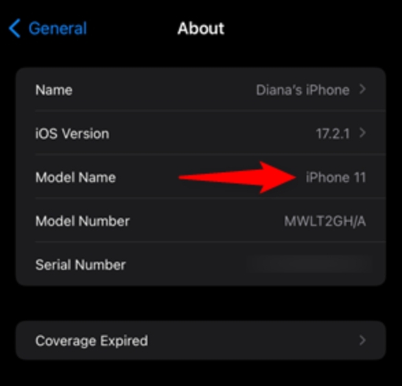 How to Check What Kind of iPhone You Have